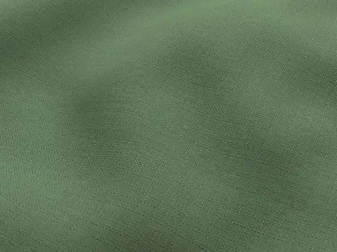 Alendel Absence drapery fabric swatch in Seaweed (0986)