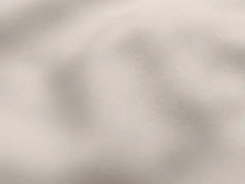 Alendel Apollo drapery fabric swatch in Shell (2040)