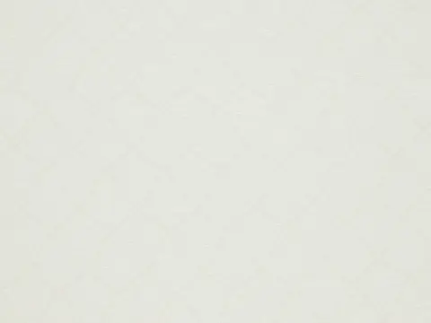 Alendel Arezzo sheer fabric swatch in Cotton (0112)