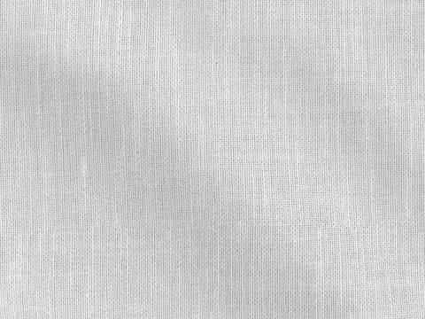 Alendel Aroma sheer fabric swatch in Snow (0143)