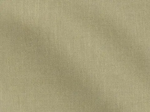 Alendel Aroma sheer fabric swatch in Marshland (0958)