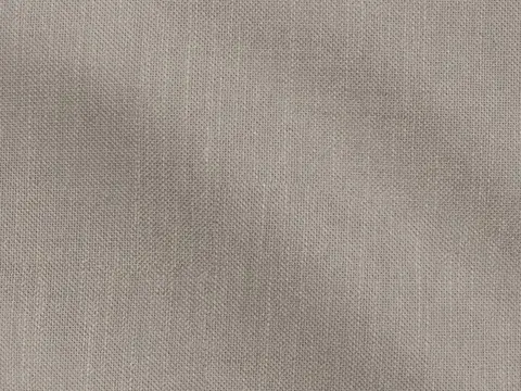 Alendel Aroma sheer fabric swatch in Porcini (2008)