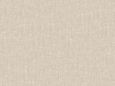 Alendel Asteroid drapery fabric swatch in Chenille (0245)