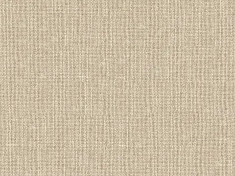 Alendel Asteroid drapery fabric swatch in Fawn (0269)
