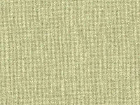 Alendel Asteroid drapery fabric swatch in Aloe (0902)