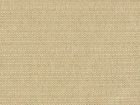 Alendel Avenue drapery fabric swatch in Oatmeal (2002)