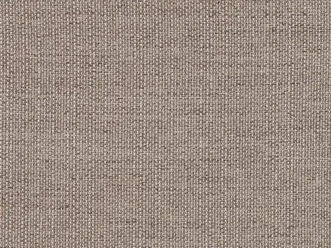 Alendel Avenue drapery fabric swatch in Porcini (2008)