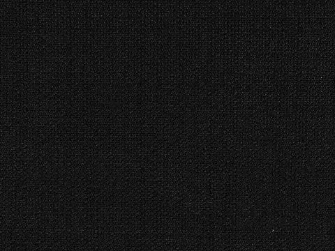 Alendel Avenue drapery fabric swatch in Black (451)