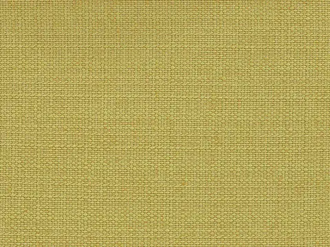 Alendel Avenue drapery fabric swatch in Grass (937)