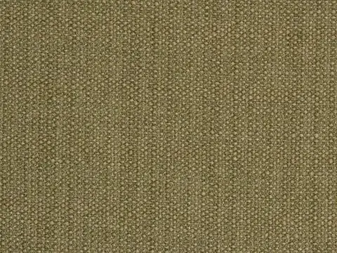 Alendel Avenue drapery fabric swatch in Leaf (954)