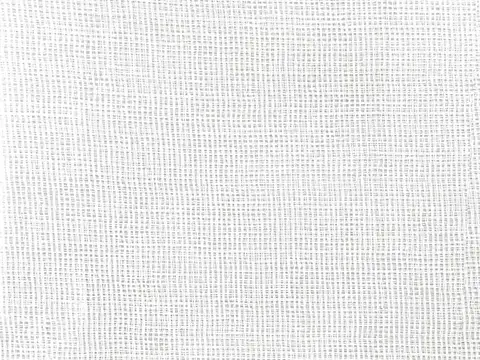Alendel Avery sheer fabric swatch in Snow (143)