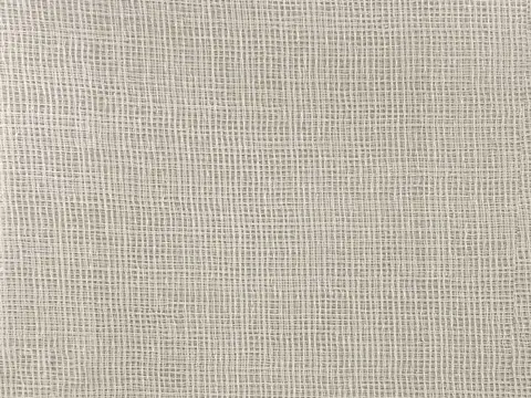 Alendel Avery sheer fabric swatch in Cream (252)