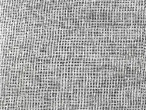 Alendel Avery sheer fabric swatch in Silver (4067)