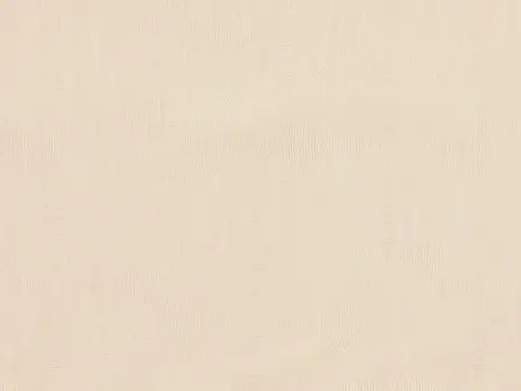 Alendel Awaken drapery fabric swatch in Beige (0216)
