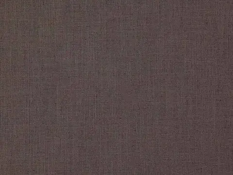 Alendel Barista drapery fabric swatch in Poised (3031)