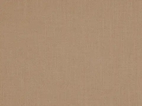 Alendel Barista drapery fabric swatch in Flax (354)
