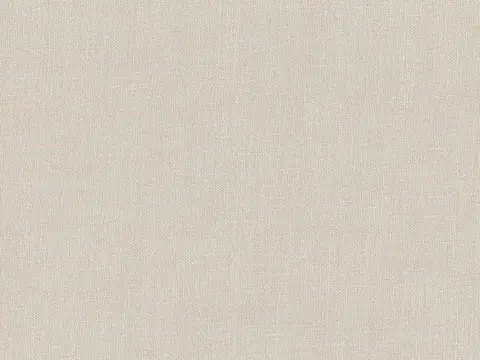 Alendel Base sheer fabric swatch in Scroll (2034)