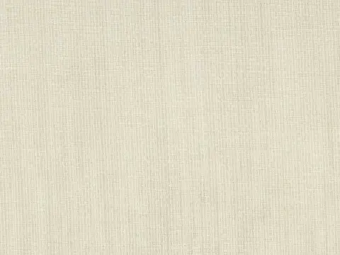 Alendel Bayou sheer fabric swatch in Light Taupe (0202)