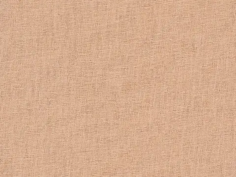 Alendel Berlin sheer fabric swatch in Classic (0248)