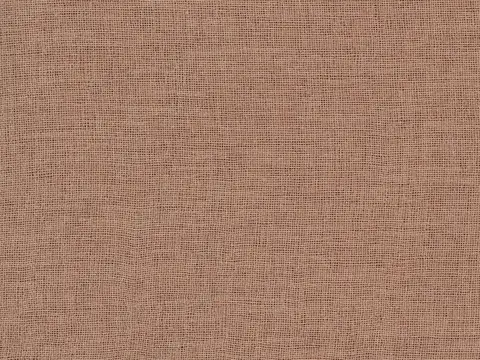 Alendel Berlin sheer fabric swatch in Chestnut (0331)