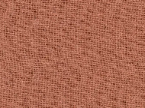Alendel Berlin sheer fabric swatch in Spice (0645)