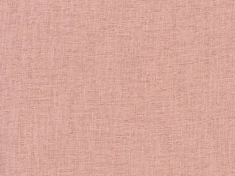 Alendel Berlin sheer fabric swatch in Blush (0657)