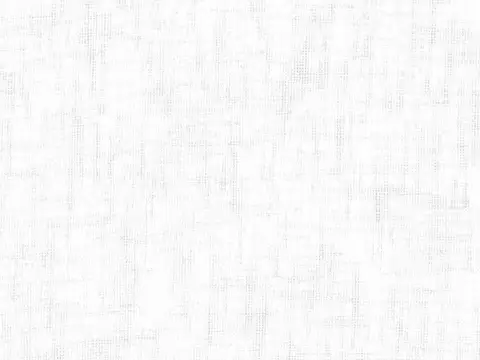 Alendel Berlin sheer fabric swatch in White (100)