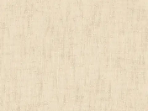 Alendel Berlin sheer fabric swatch in Light Taupe (202)