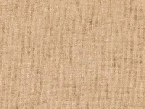 Alendel Berlin sheer fabric swatch in Marzipan (297)