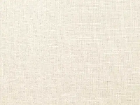 Alendel Biome sheer fabric swatch in Ivory (0103)