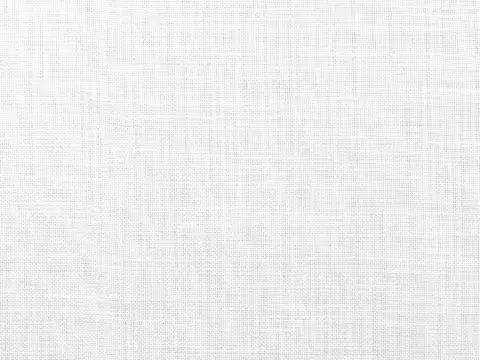 Alendel Biome sheer fabric swatch in White (100)