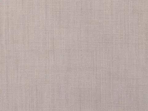 Alendel Biome sheer fabric swatch in Stone (4083)