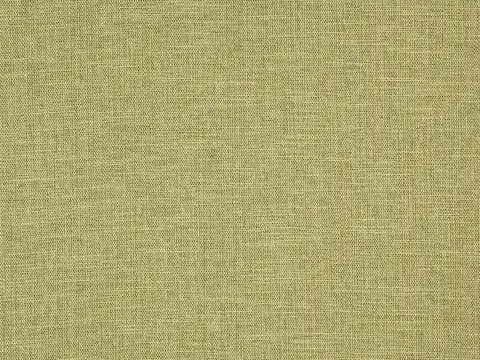 Alendel Bliss sheer fabric swatch in Avocado (0907)
