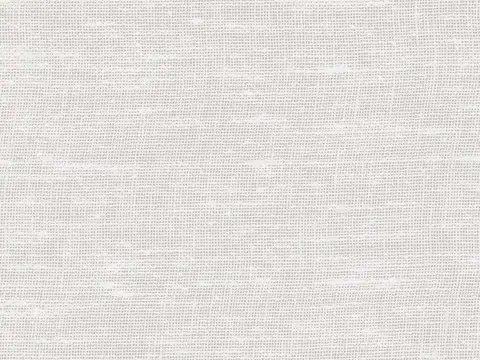 Alendel Brent sheer fabric swatch in Ivory (103)