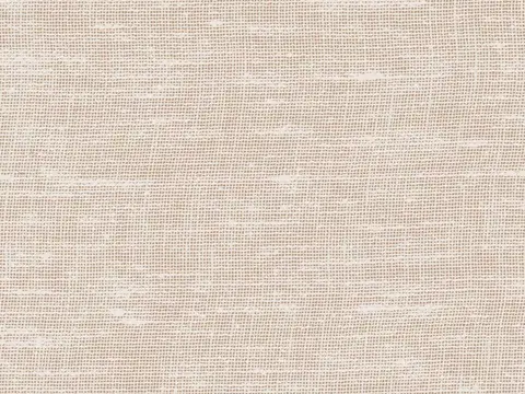 Alendel Brent sheer fabric swatch in Frozen (119)