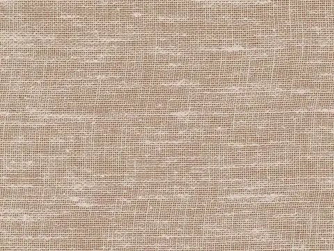 Alendel Brent sheer fabric swatch in Sand (2023)