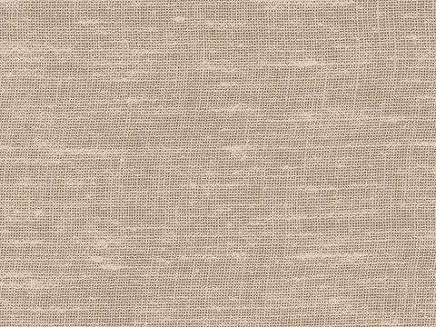 Alendel Brent sheer fabric swatch in Taupe (2049)