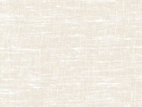 Alendel Brent sheer fabric swatch in Candle (231)