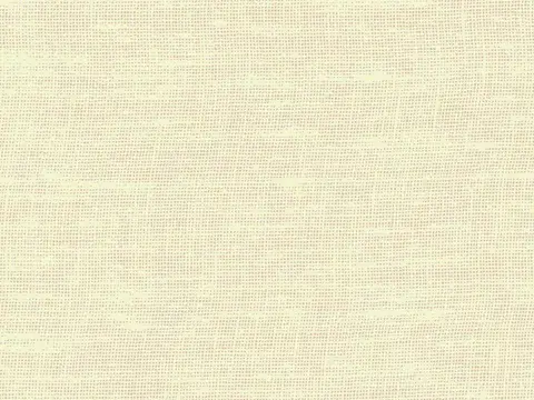 Alendel Brent sheer fabric swatch in Cream (252)