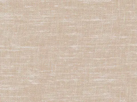 Alendel Brent sheer fabric swatch in Mushroom (376)