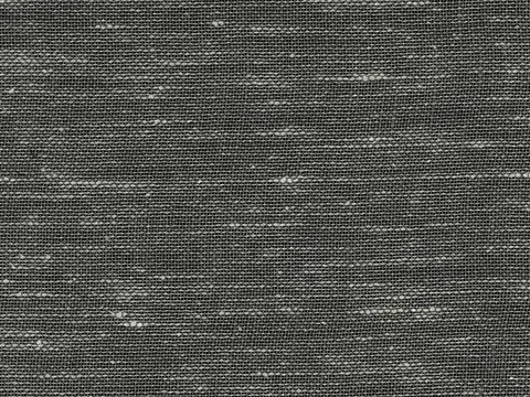 Alendel Brent sheer fabric swatch in Black (451)