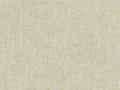 Alendel Bridgeport drapery fabric swatch in Celery (912)
