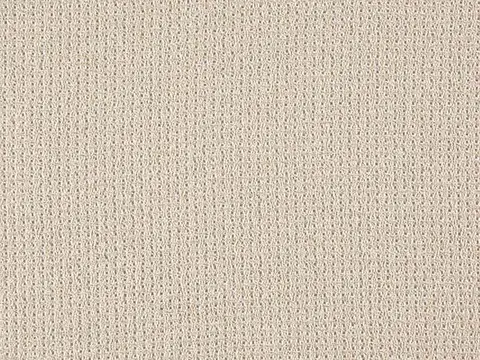 Alendel Cage sheer fabric swatch in Natural (378)