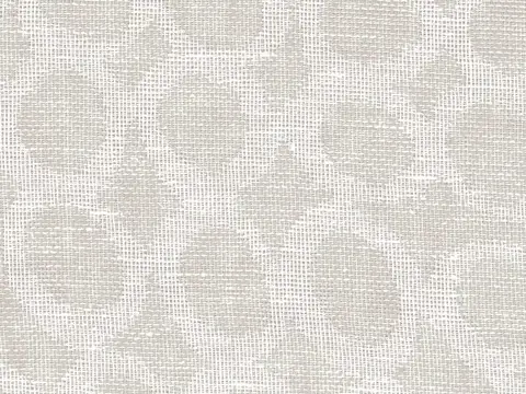 Alendel Campo sheer fabric swatch in Tapioca (0157)