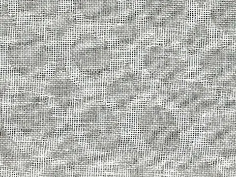 Alendel Campo sheer fabric swatch in Stonington (4088)