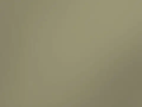 Alendel Carraway drapery fabric swatch in Olive (964)