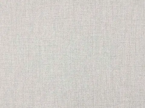 Alendel Cast drapery fabric swatch in Platinum (138)