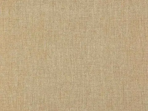 Alendel Cast drapery fabric swatch in Gilded (513)