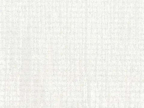 Alendel Catnap drapery fabric swatch in White (100)