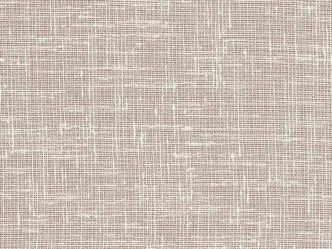 Alendel Clarity sheer fabric swatch in Dune (0262)